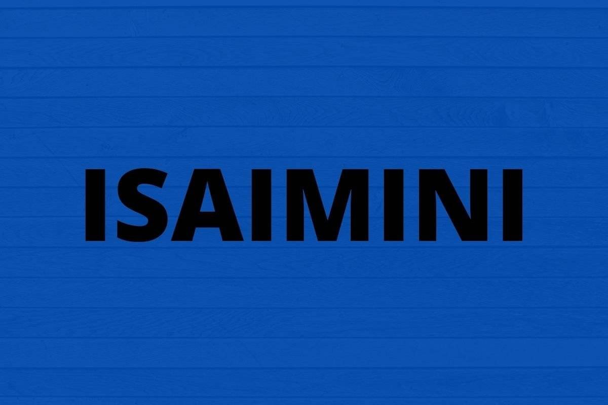 Isamini: Your Guide to the Hottest App of 2024