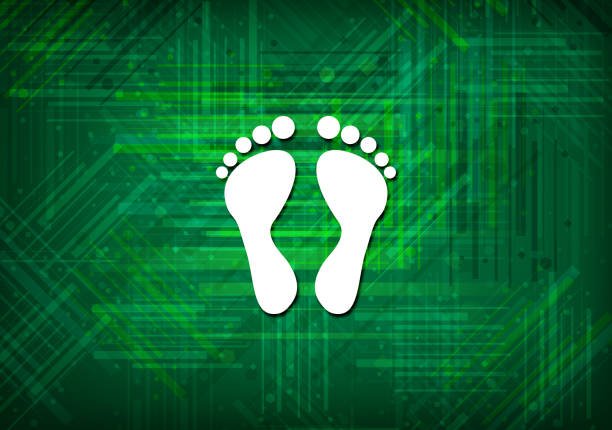 Digital Footprint Checker 